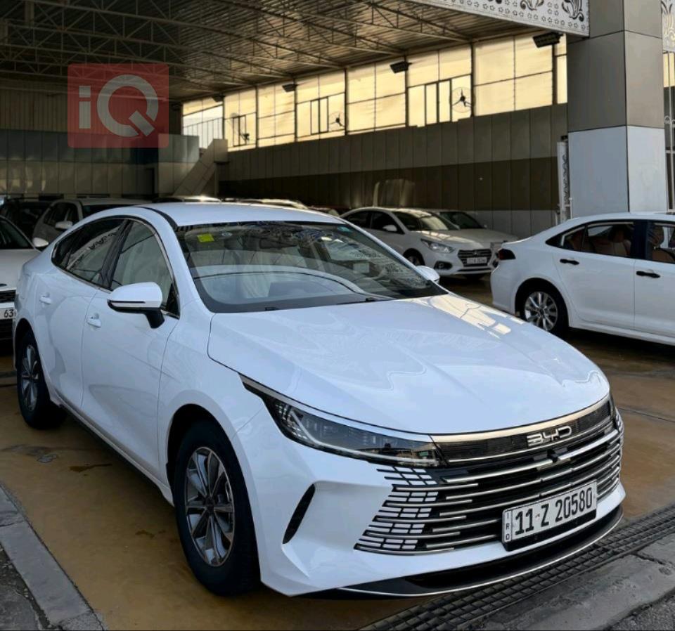 بی وای دی دیسترۆیەر 05